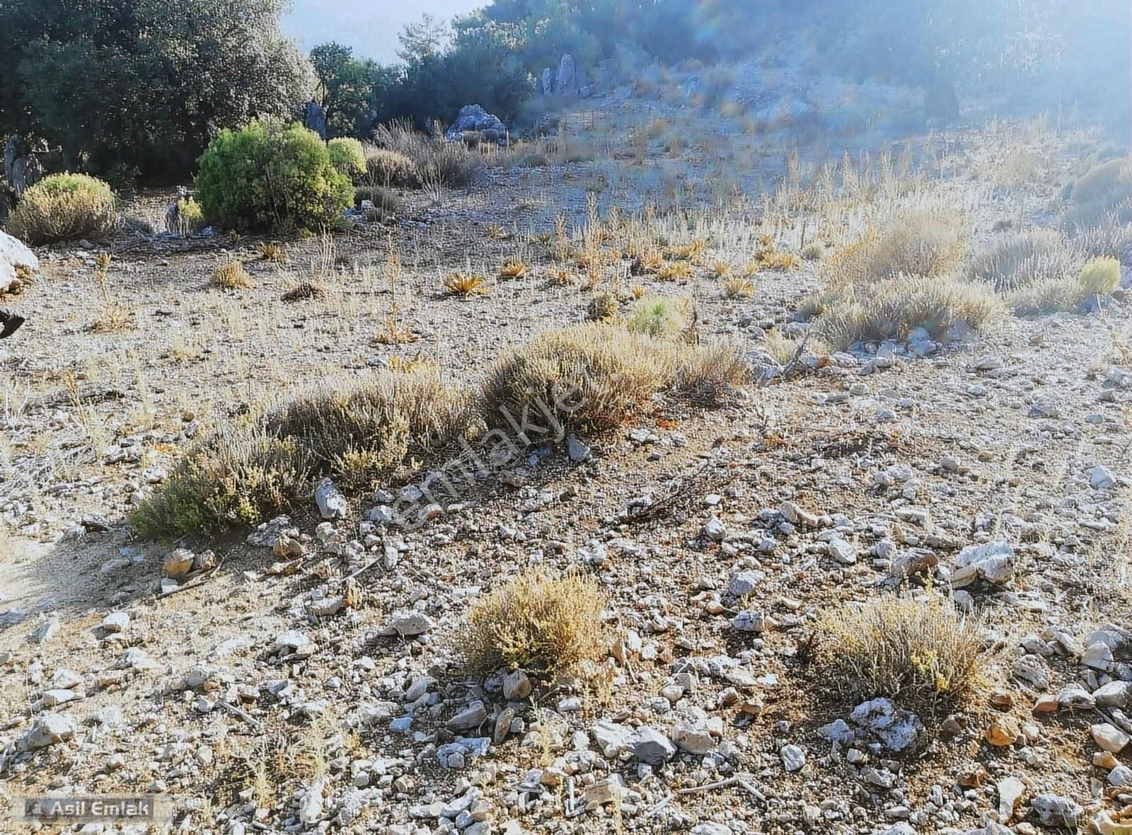 Ortaca Dalyan Gökbel Mahlsi Kışla Mevkiinde Satılık 5216m² Tarla - Görsel 13