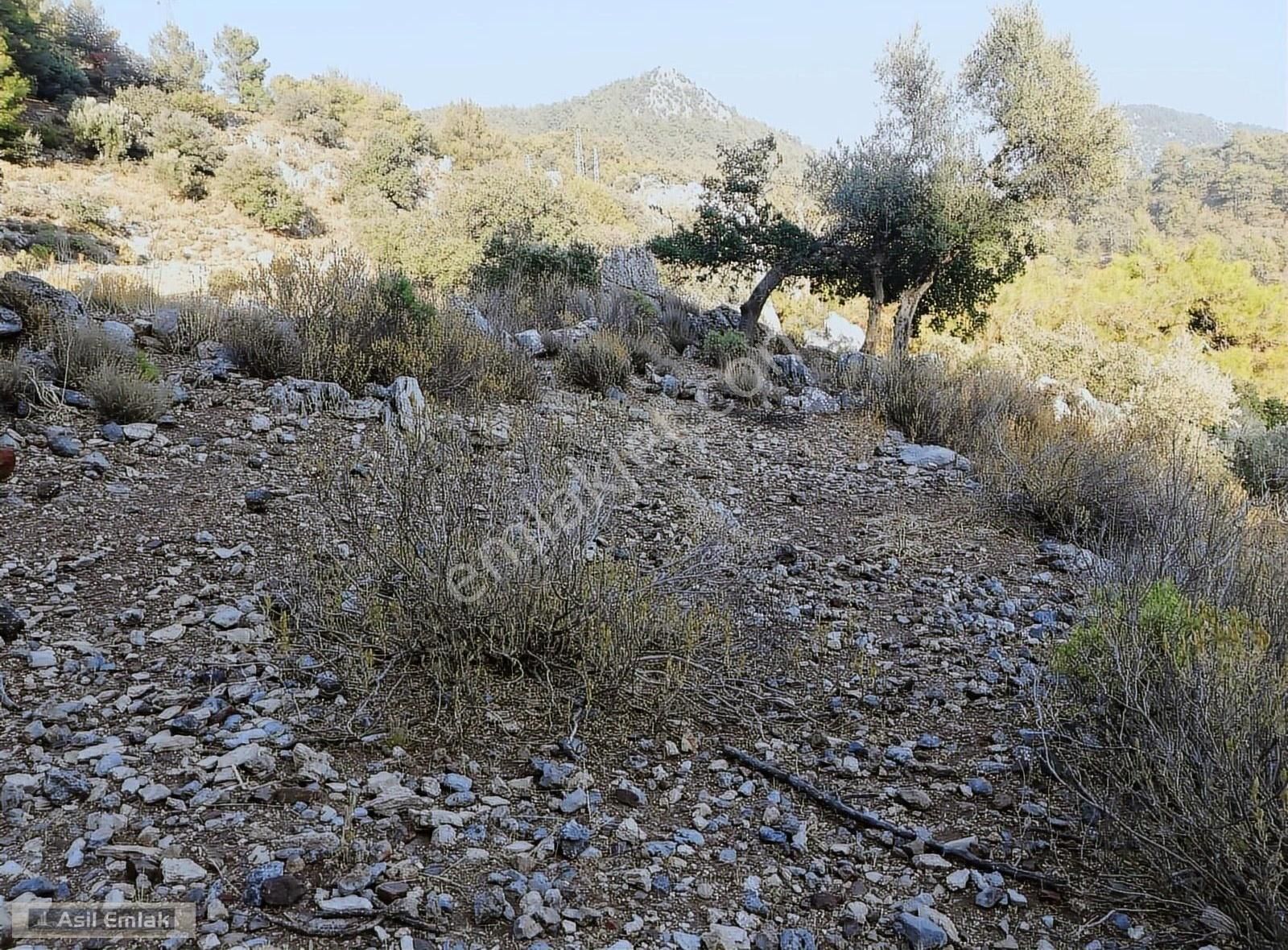 Ortaca Dalyan Gökbel Mahlsi Kışla Mevkiinde Satılık 5216m² Tarla - Görsel 5