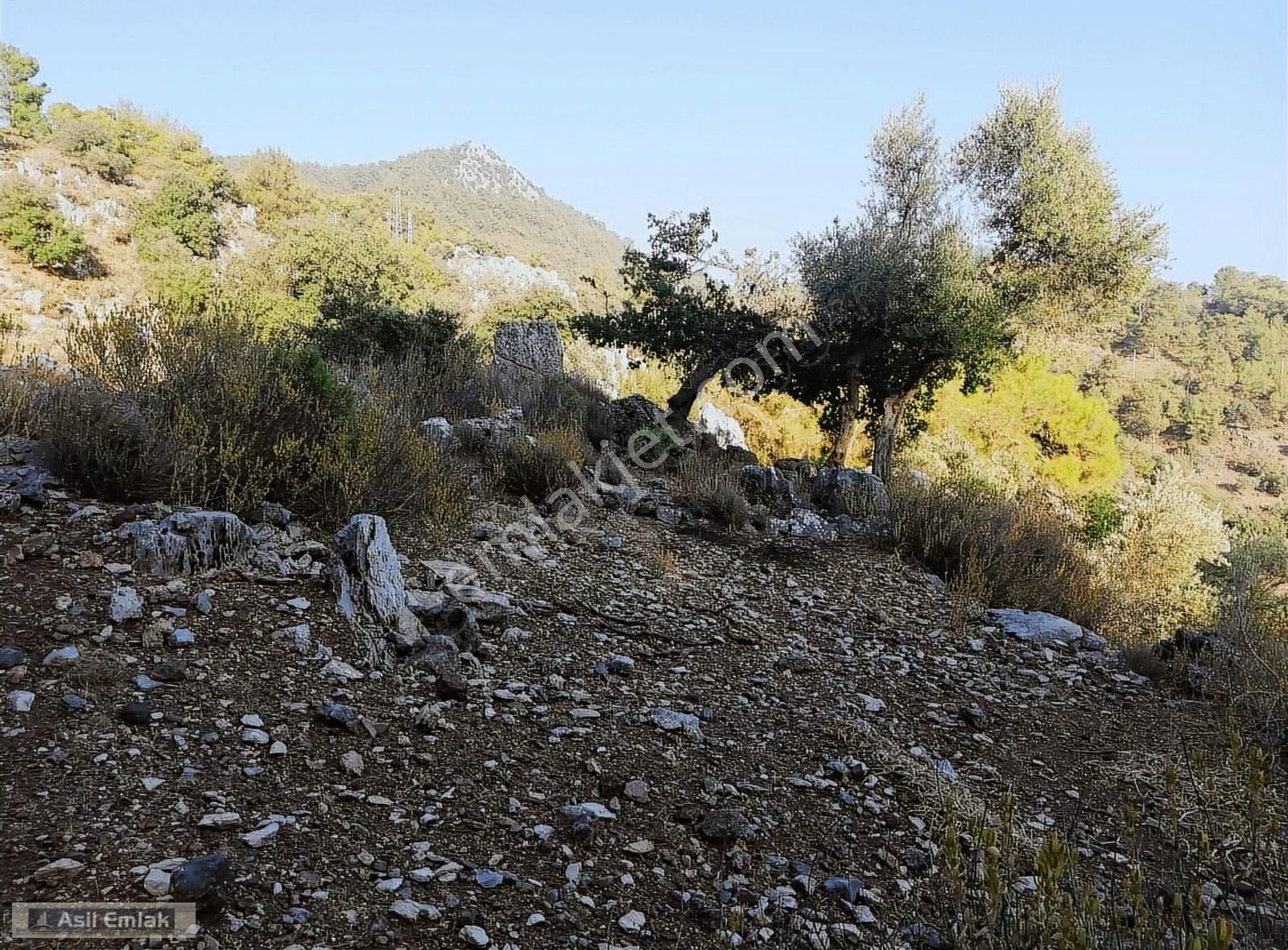 Ortaca Dalyan Gökbel Mahlsi Kışla Mevkiinde Satılık 5216m² Tarla - Görsel 3