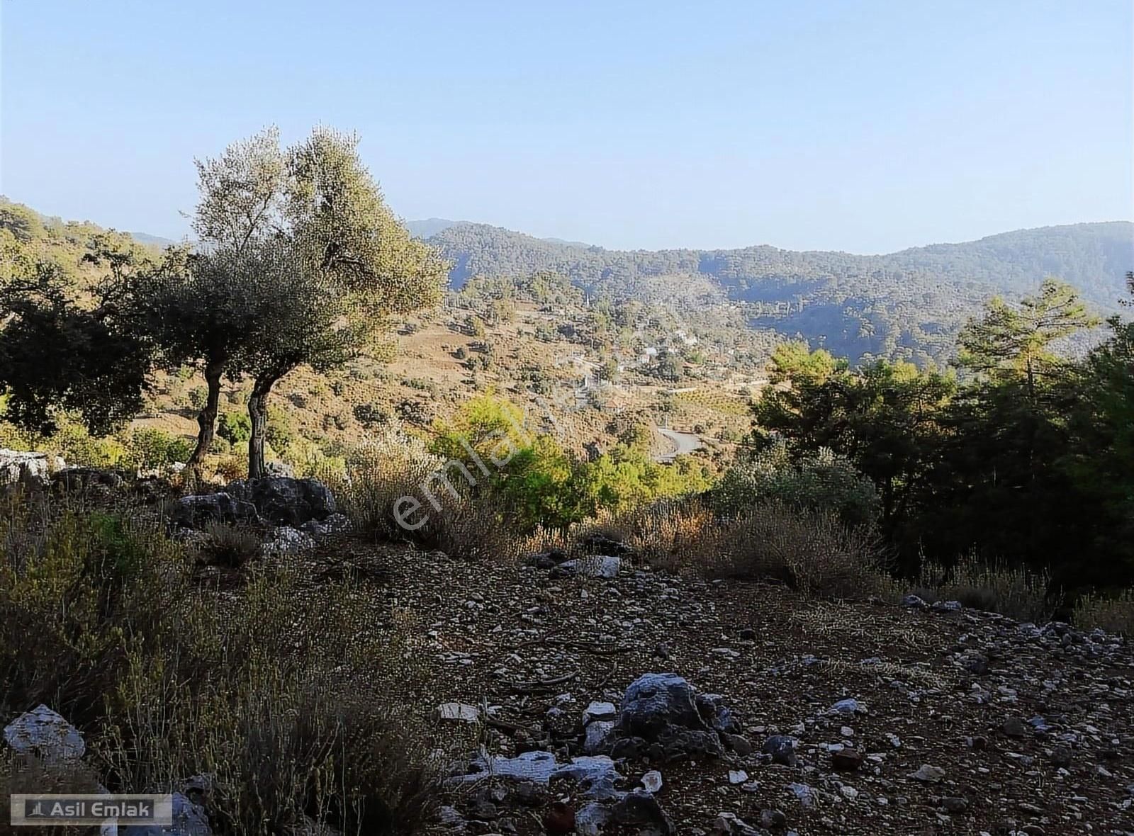 Ortaca Dalyan Gökbel Mahlsi Kışla Mevkiinde Satılık 5216m² Tarla - Görsel 19