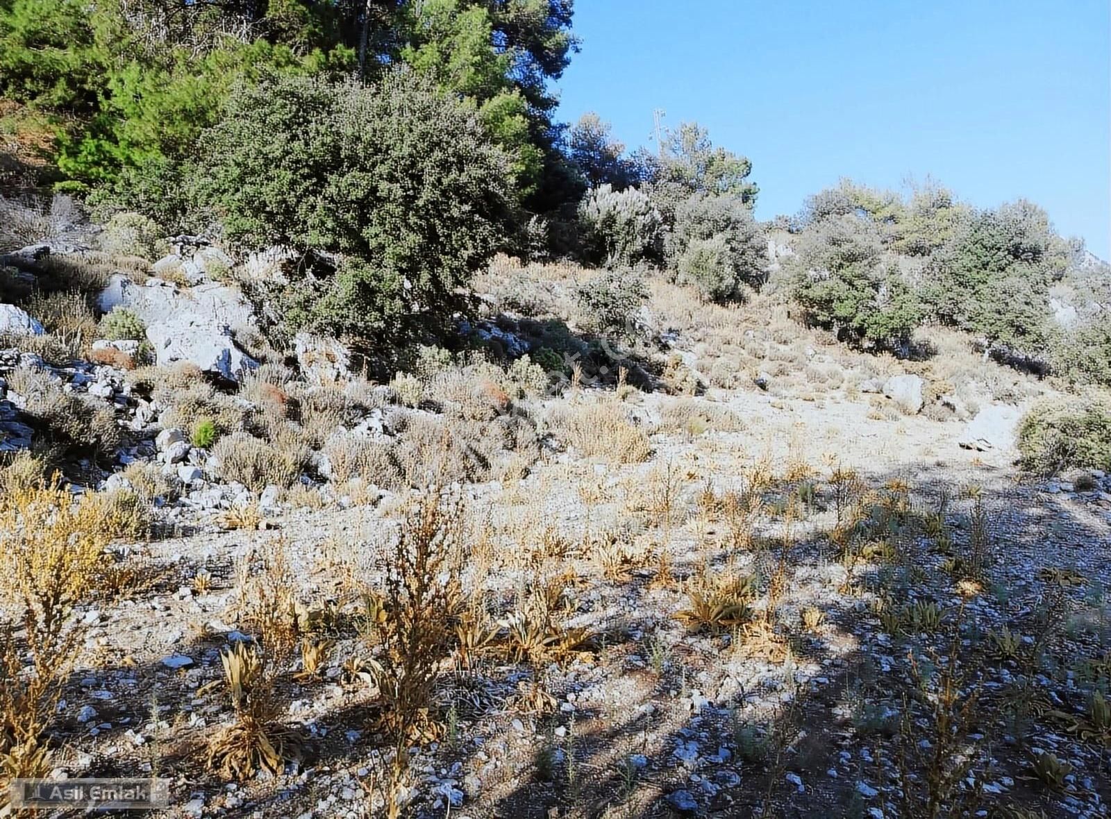 Ortaca Dalyan Gökbel Mahlsi Kışla Mevkiinde Satılık 5216m² Tarla - Görsel 4