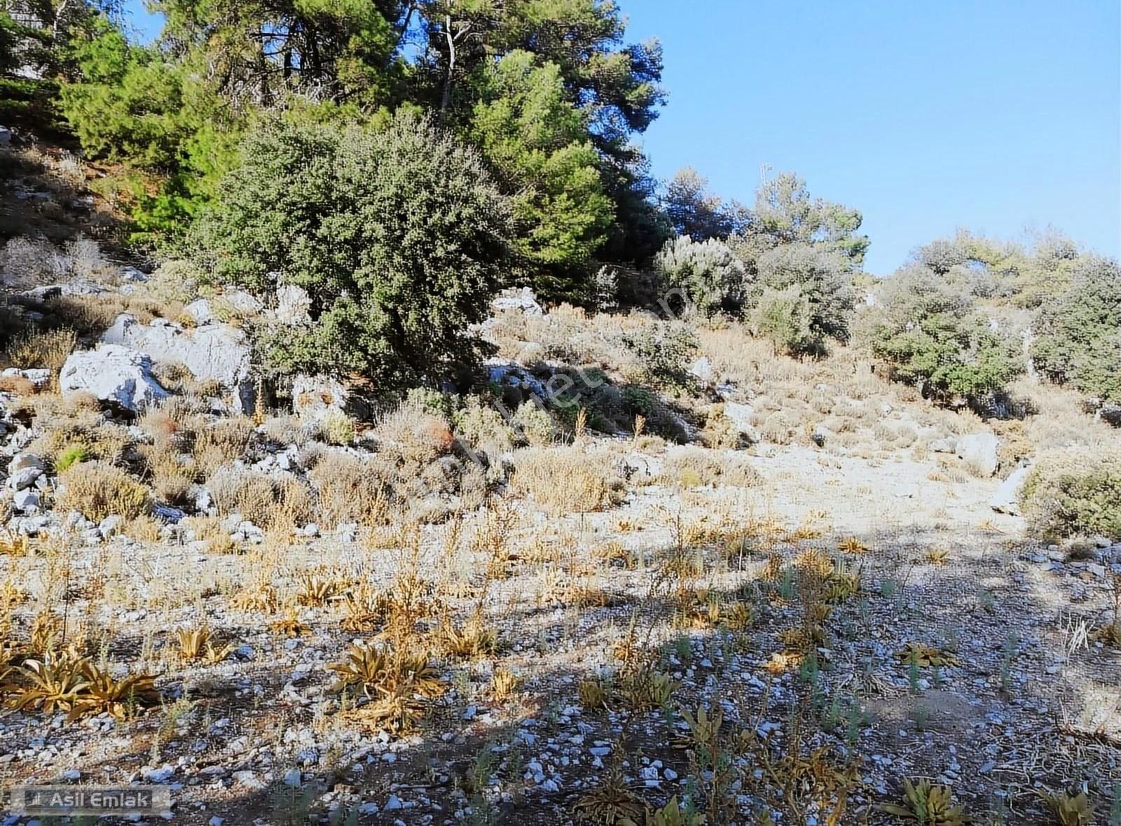 Ortaca Dalyan Gökbel Mahlsi Kışla Mevkiinde Satılık 5216m² Tarla - Görsel 11