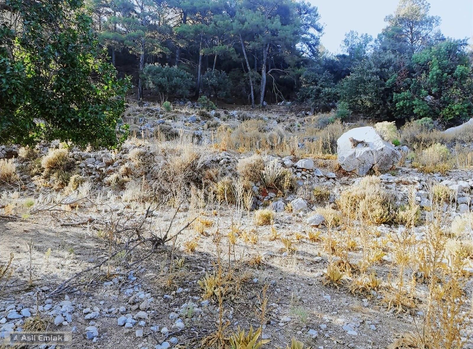 Ortaca Dalyan Gökbel Mahlsi Kışla Mevkiinde Satılık 5216m² Tarla - Görsel 10