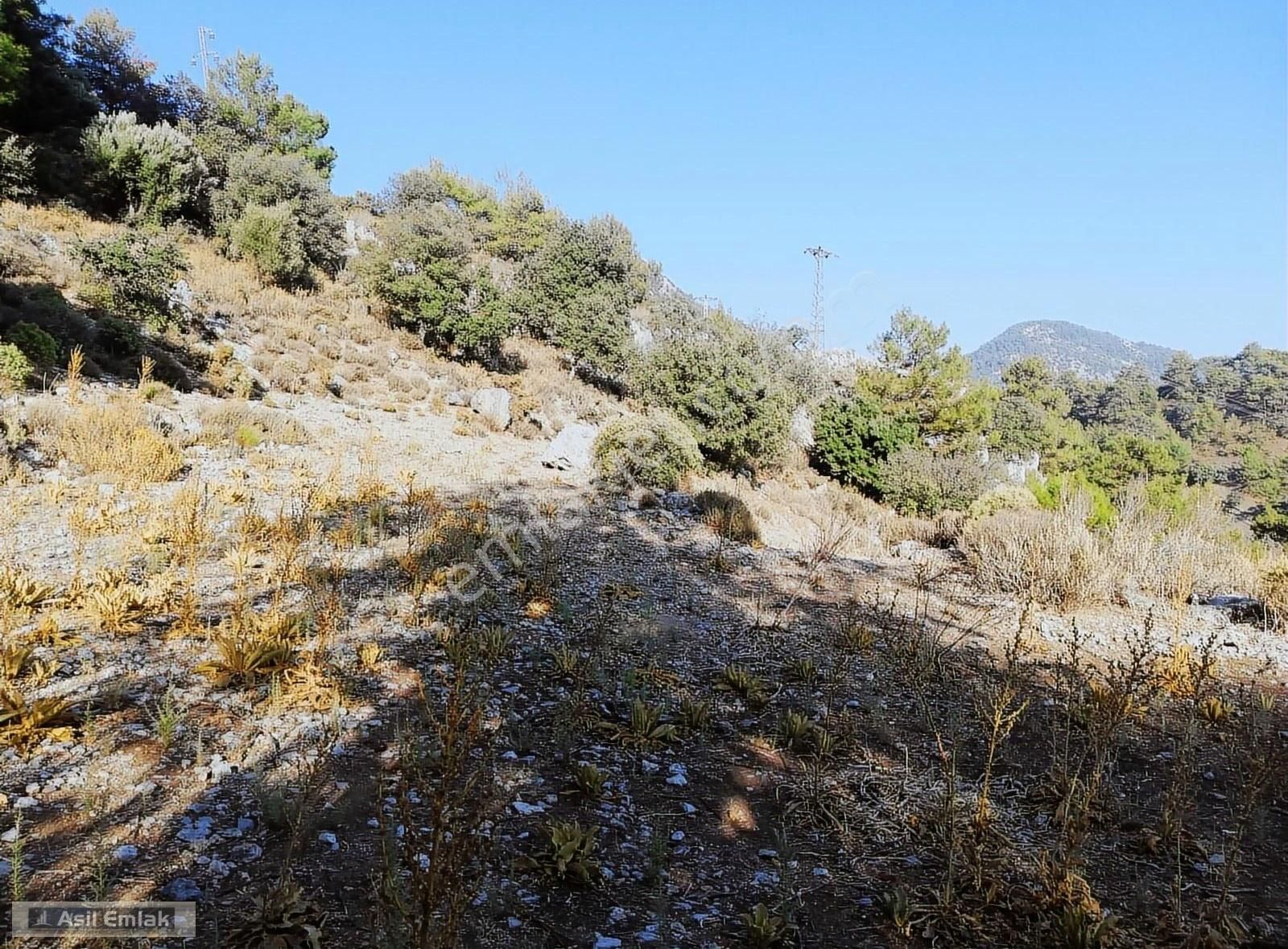Ortaca Dalyan Gökbel Mahlsi Kışla Mevkiinde Satılık 5216m² Tarla - Görsel 33