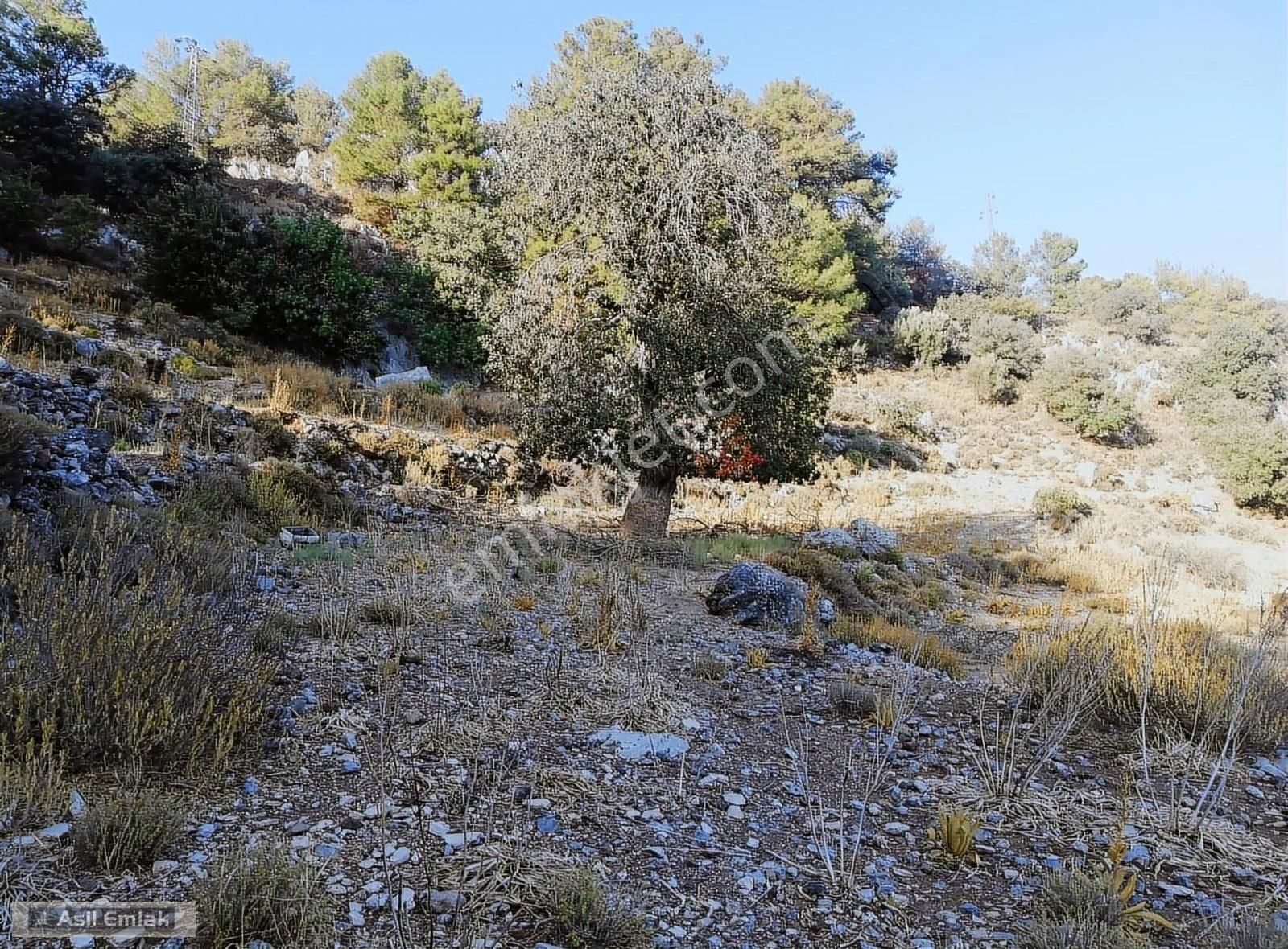 Ortaca Dalyan Gökbel Mahlsi Kışla Mevkiinde Satılık 5216m² Tarla - Görsel 20
