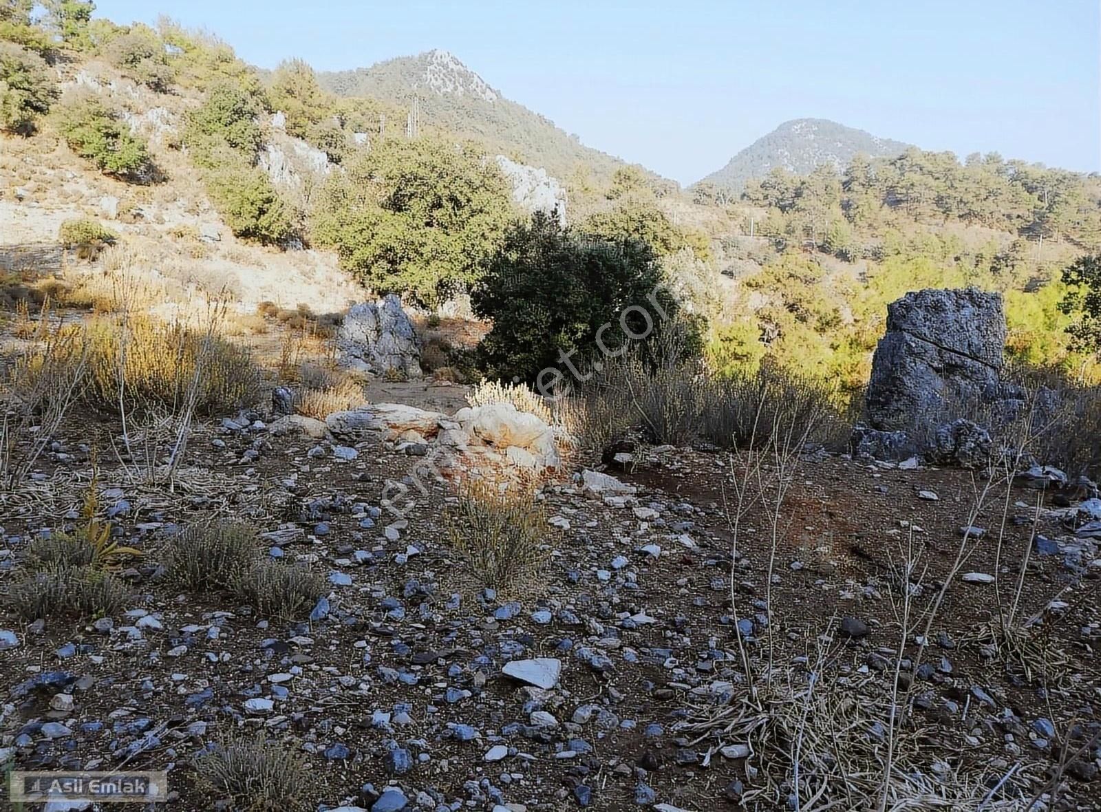 Ortaca Dalyan Gökbel Mahlsi Kışla Mevkiinde Satılık 5216m² Tarla - Görsel 15