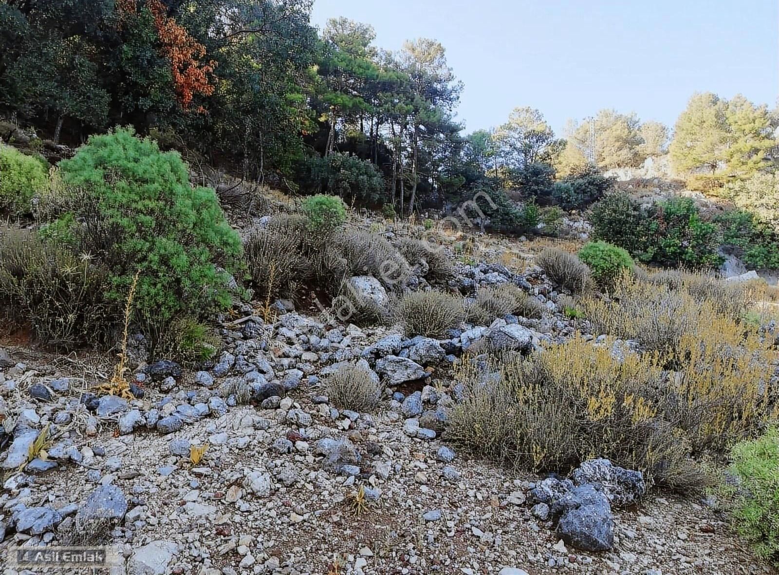 Ortaca Dalyan Gökbel Mahlsi Kışla Mevkiinde Satılık 5216m² Tarla - Görsel 16