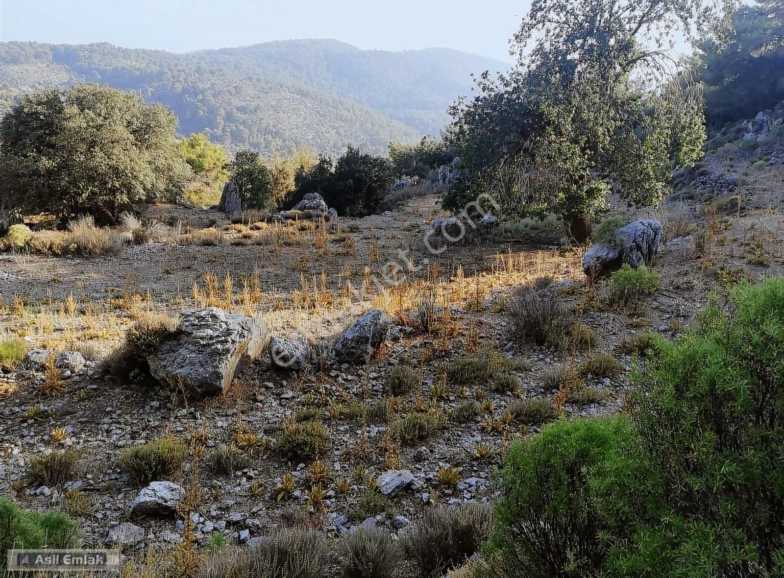Ortaca Dalyan Gökbel Mahlsi Kışla Mevkiinde Satılık 5216m² Tarla - Görsel 34