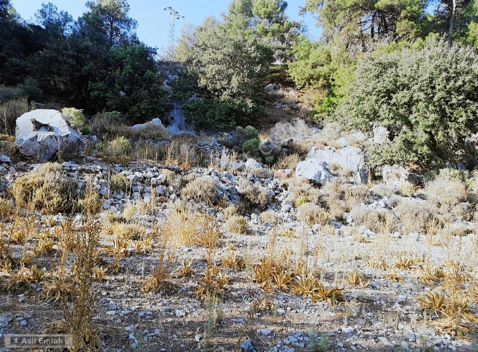Ortaca Dalyan Gökbel Mahlsi Kışla Mevkiinde Satılık 5216m² Tarla - Görsel 23