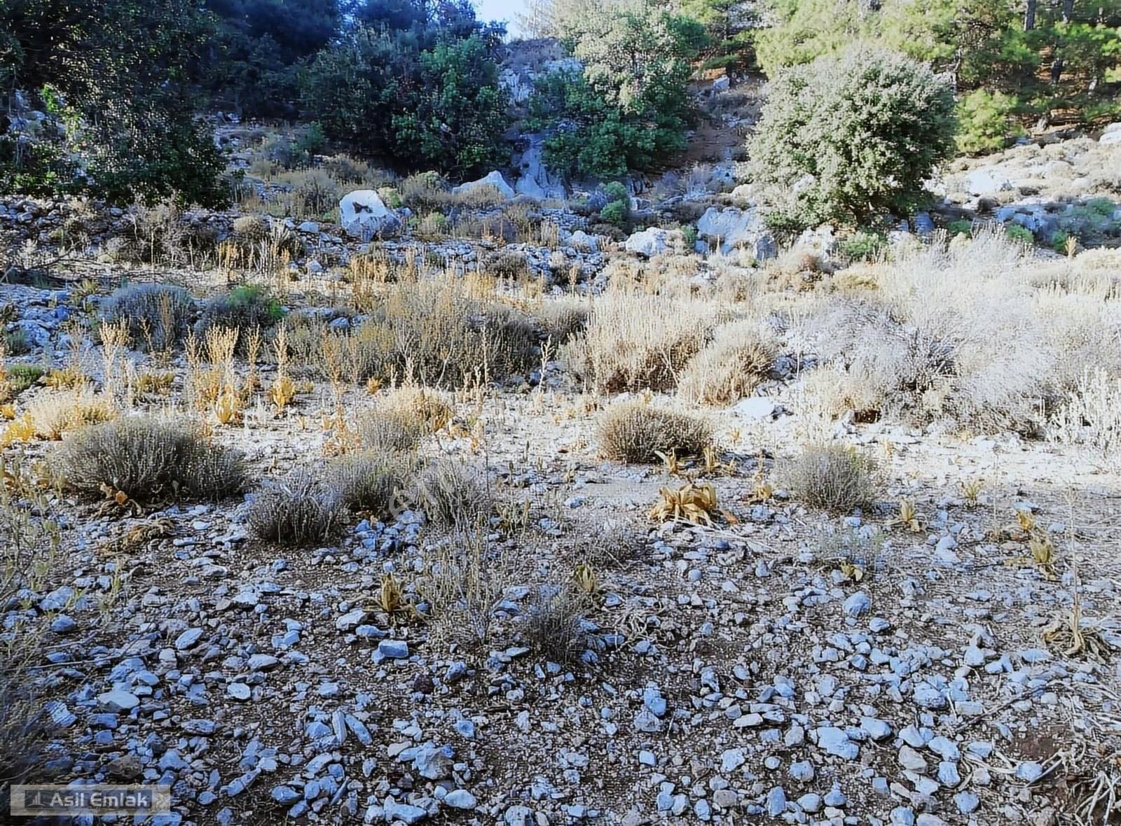 Ortaca Dalyan Gökbel Mahlsi Kışla Mevkiinde Satılık 5216m² Tarla - Görsel 35