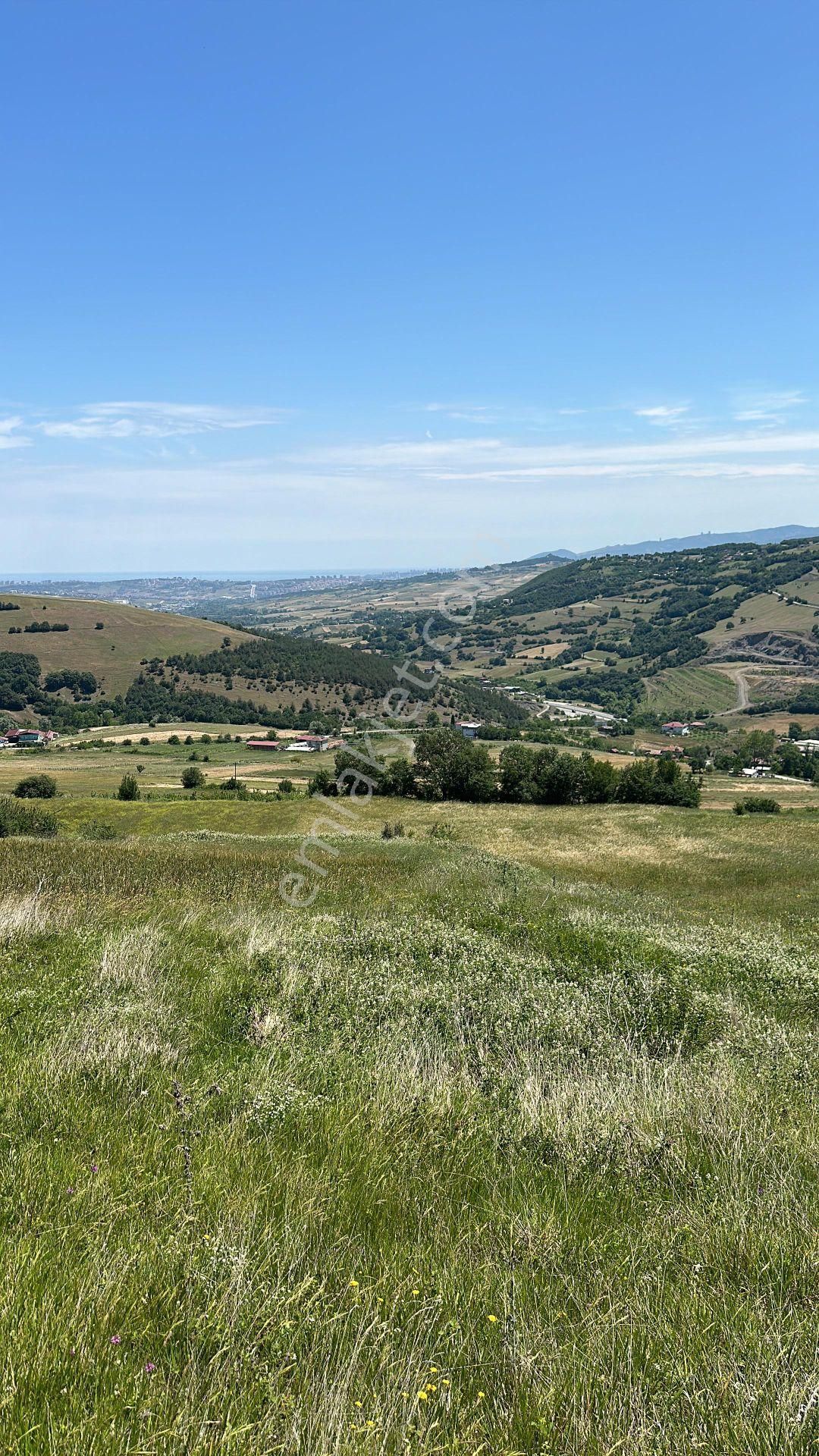 Lider'den Samsun Atakum Sarıışık Köyünde 1006m2 Tarla Tek Tapu - Görsel 2