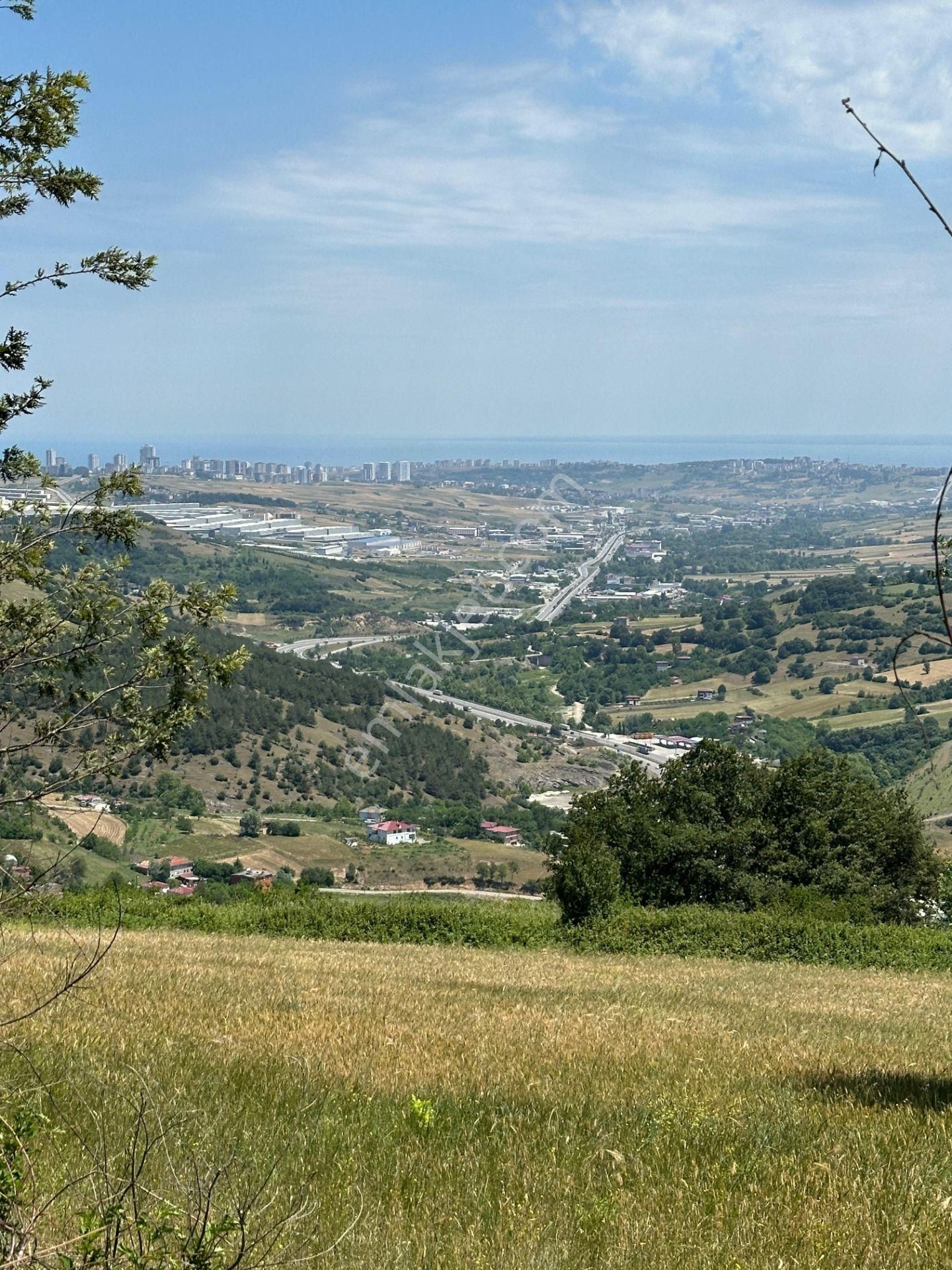Lider'den Samsun Atakum Sarıışık Köyünde 1661m2 Tarla Tek Tapu