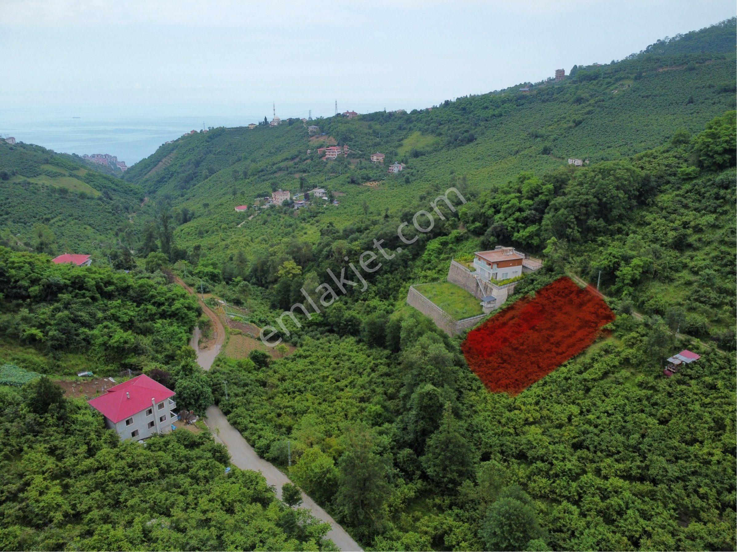 Trabzon Uğurluda Satılık Fırsat Arazi