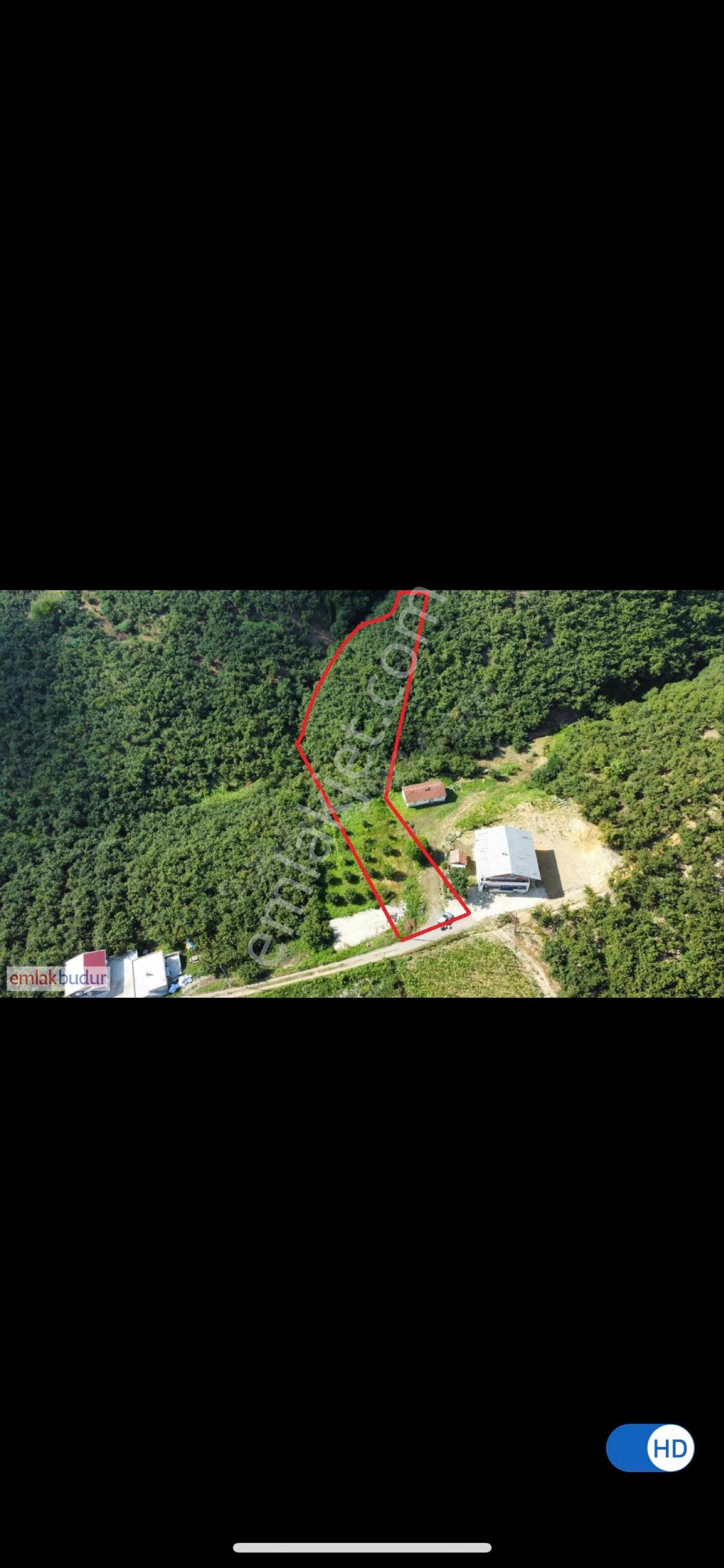 Sahibinden Satılık! Karasu Kızılcık Mahallesinde %40 İmarlı, Tapulu Fındıklık Arsa