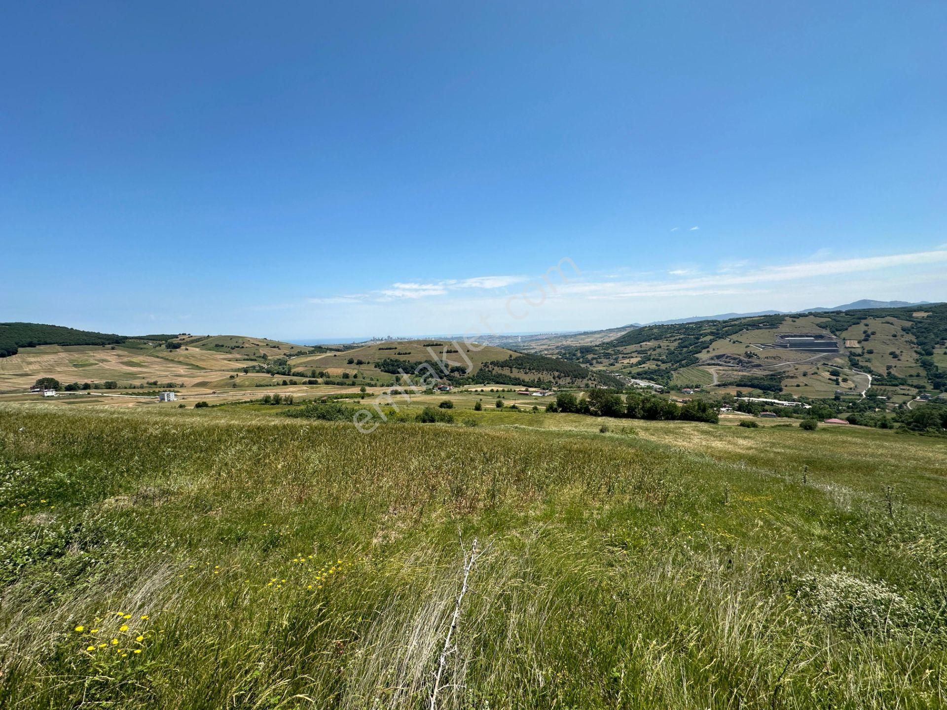 Lider'den Samsun Atakum Sarıışık Köyünde 2.026 M2 Tarla Tek Tapu - Görsel 6