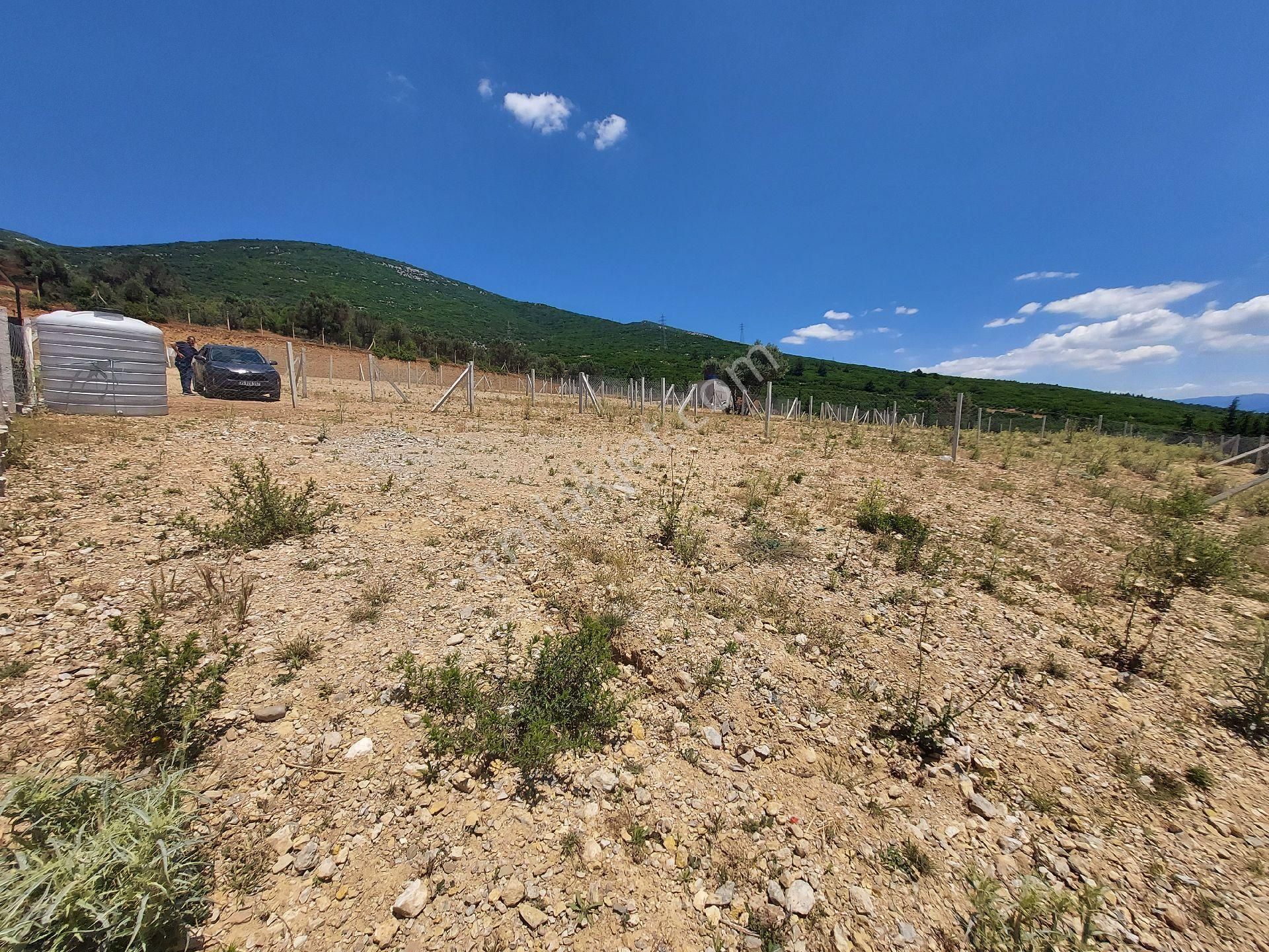İzmir Kemalpaşa Sütçülerde Satılık 300m² Bahce - Görsel 5