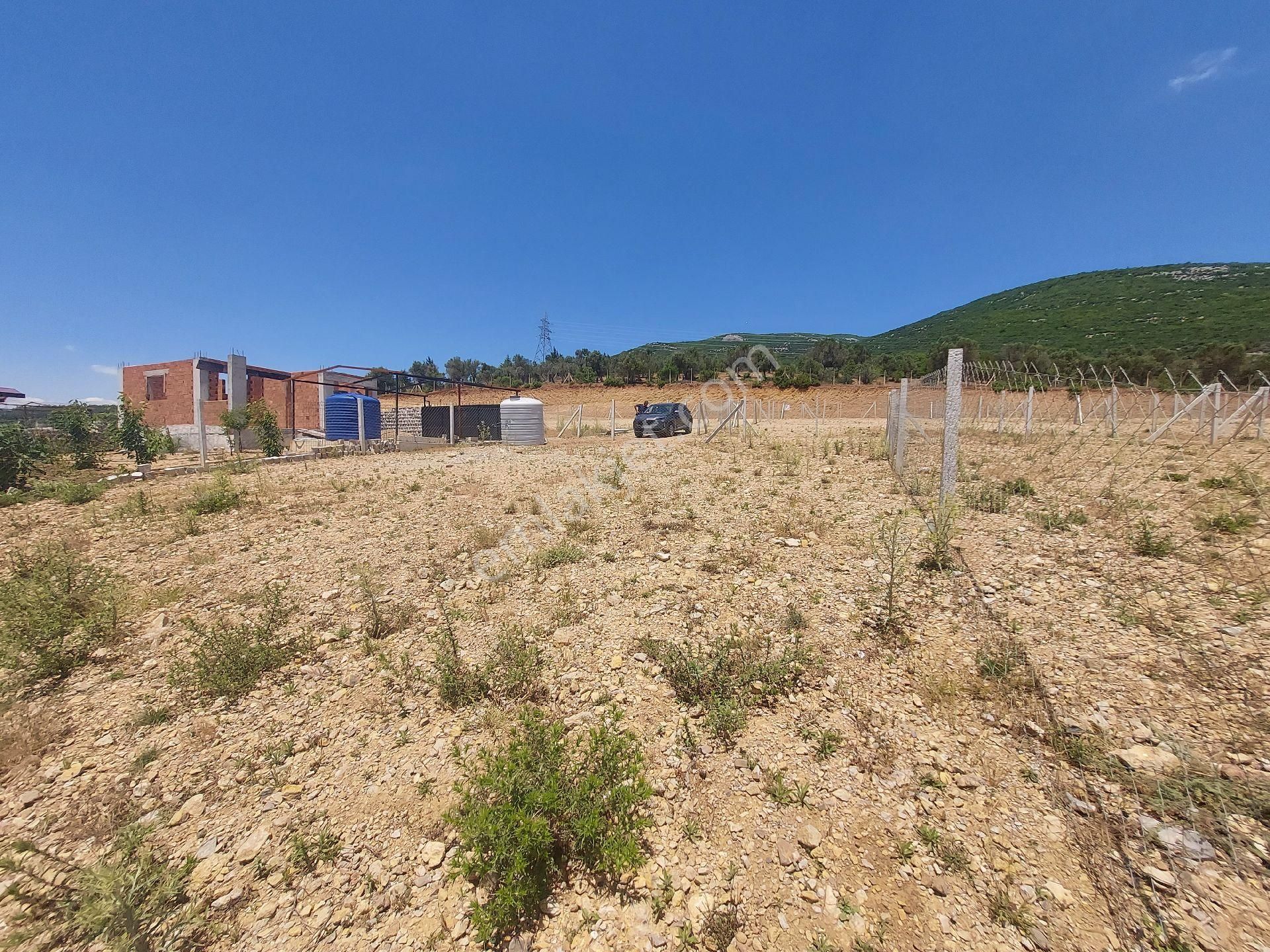 İzmir Kemalpaşa Sütçülerde Satılık 300m² Bahce - Görsel 6