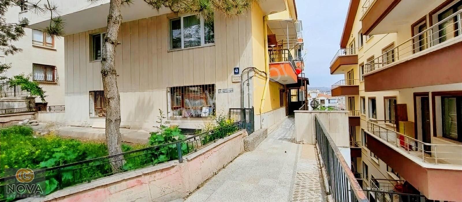 Cg Nova'dan Geniş Daire