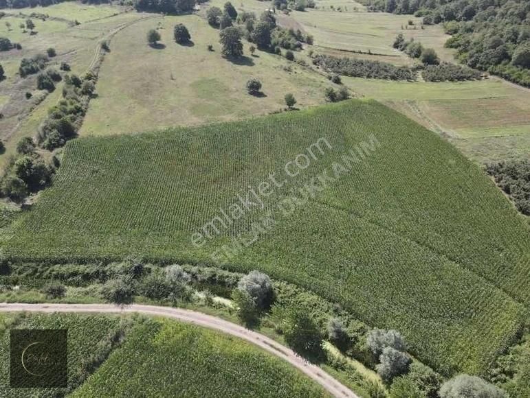 Söğütlü Yeniköyde 328 M2 Satılık Tarla Yolu Mevcut