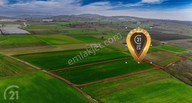 C21 Loca'dan Yatırım Bölgesi %70 Hibe Alanında Tarla