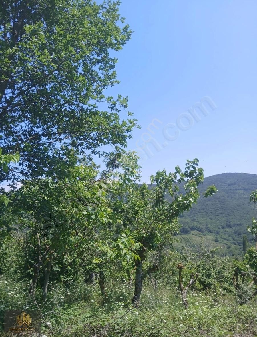 Geyve Alifuatpaşa Akıncı Köyünde Satılık Arazi 1350m2 Manzaralı
