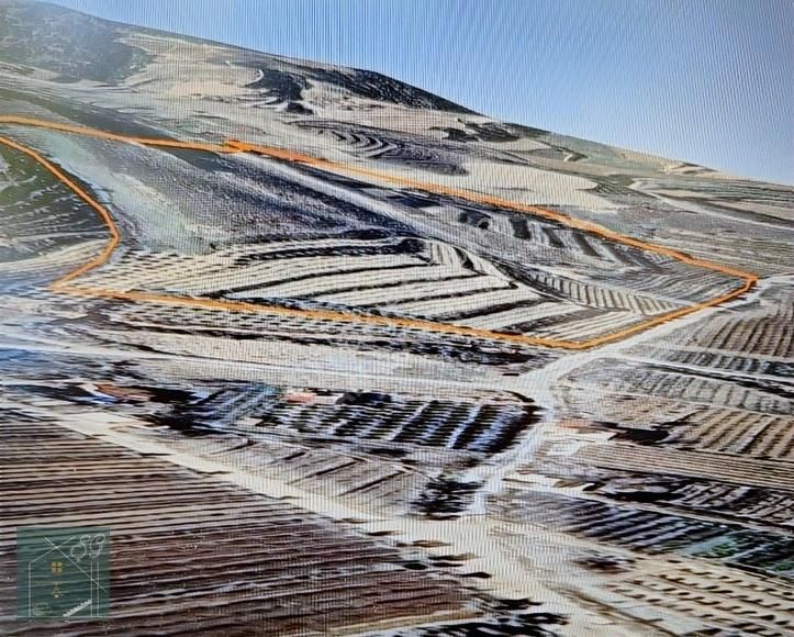Alaşehir Çeşnelide 49dönüm Bağ.bağ Evi Merkez 11. Cadde Üzerinde