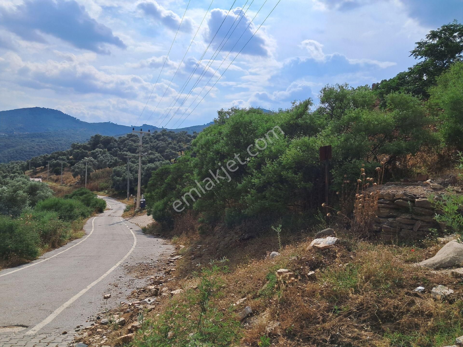 Bayındır Kabaağaç'ta 243 M2 Satılık Arsa