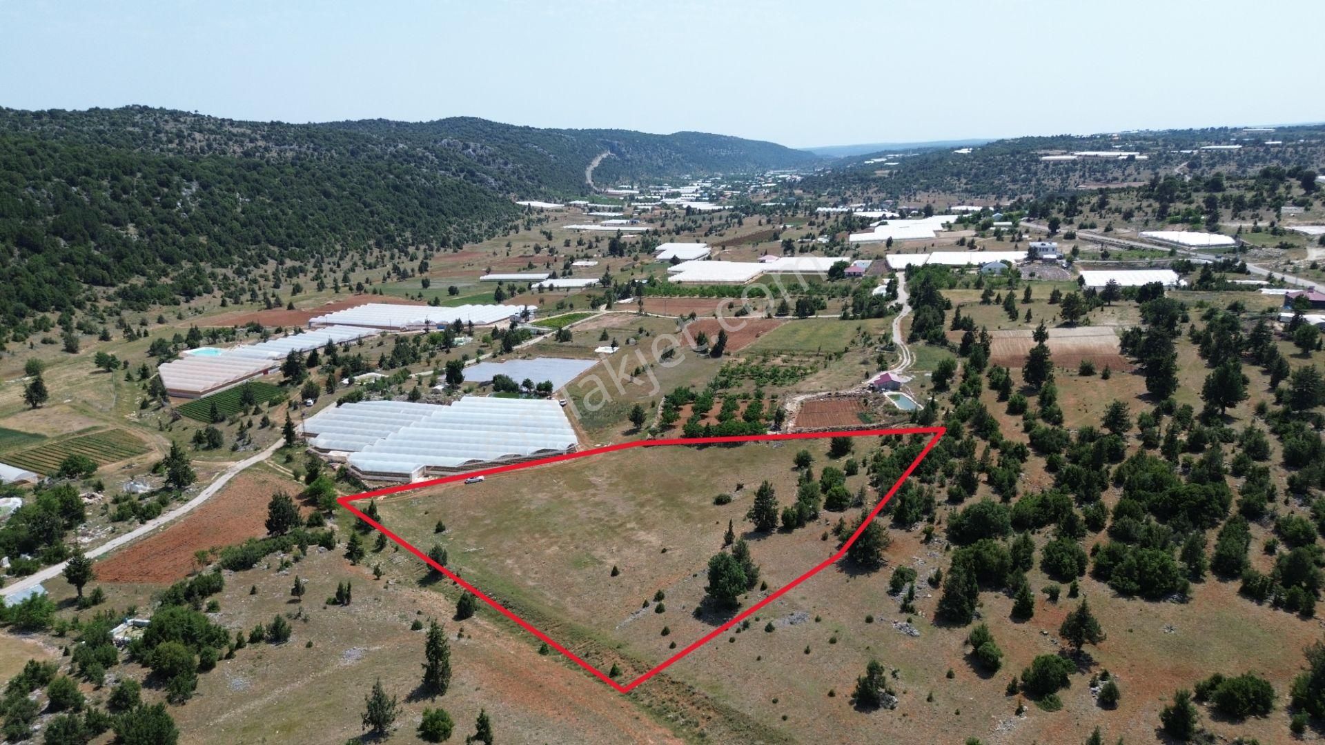 Erdemli Kızılen Mah. 7.408 M2 Satılık Masrafsız Tarla
