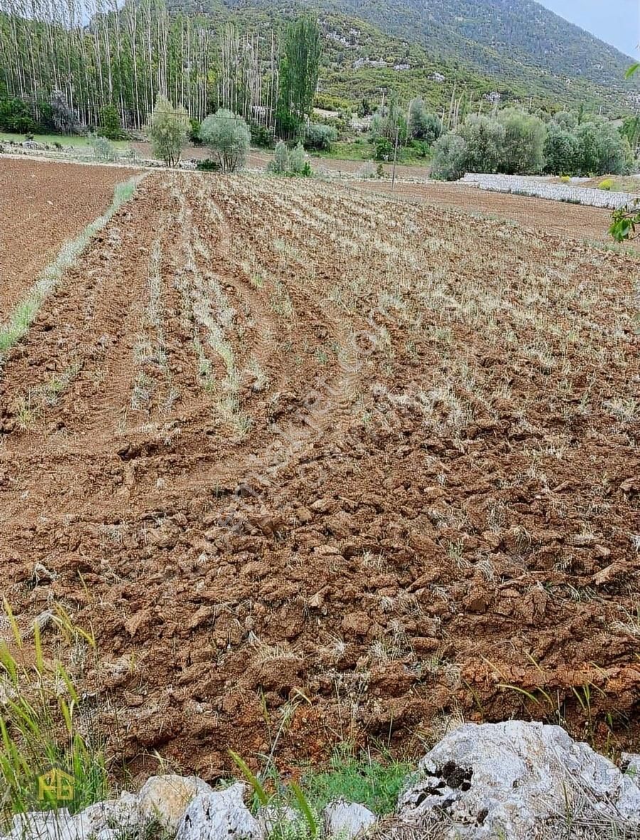 Yayla Dontda Satılık 1950m2 Tarla