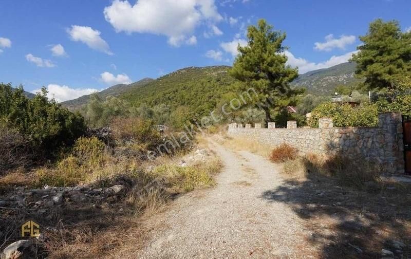 Fethiye İncirköyde 2900m2 Satılık Fırsat Tarla