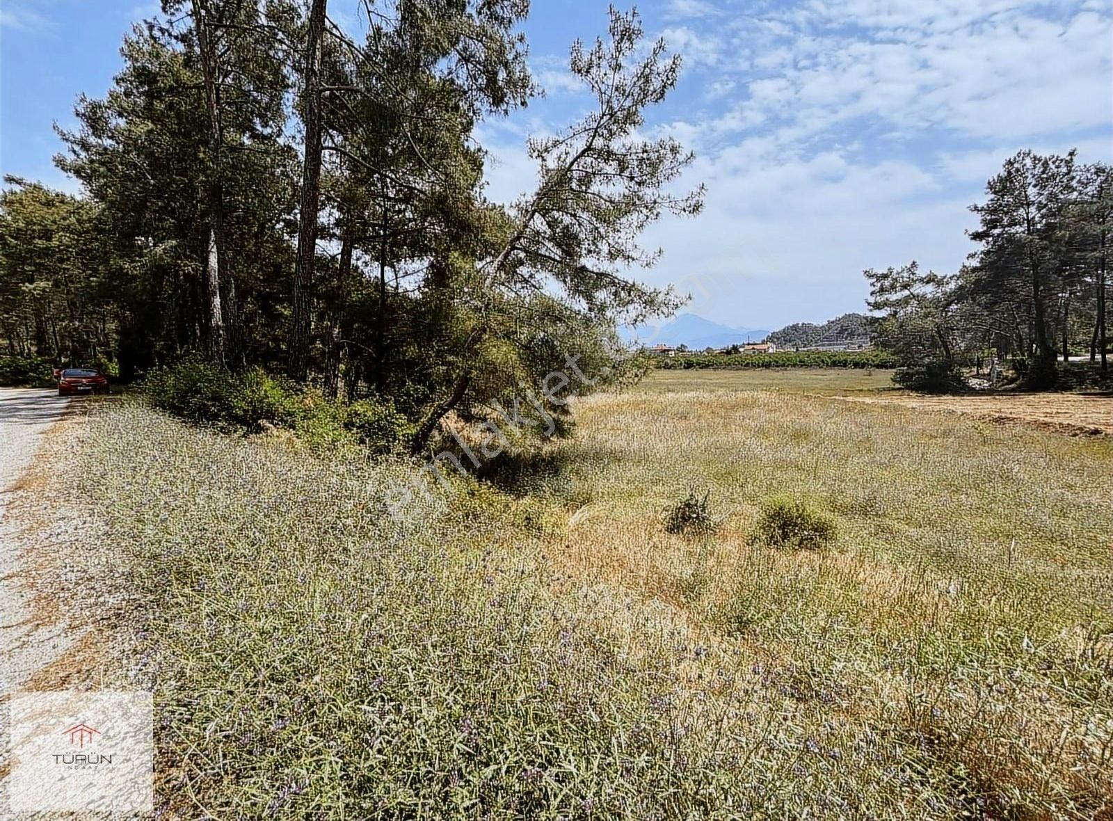 Fethiye Yanıklar Mahallesinde 1300 M2 Satılık Tarla