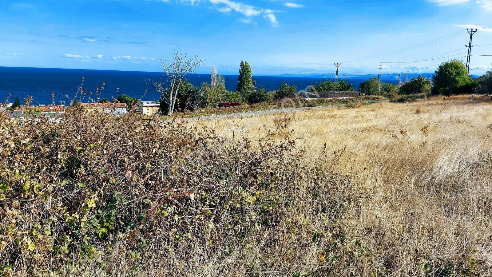 Tekirdağ Barbaros Ta Acil Satılık Kat İrtifaklı Köşe Arsa
