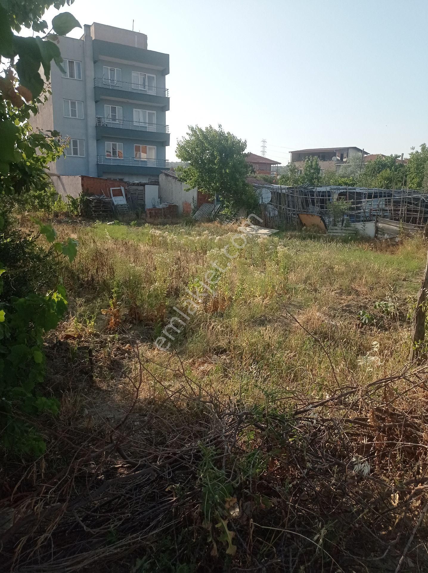 Yeliz'den Manisa Soma'da Arsa