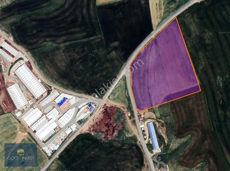 Akyurt Teberik'te Köşe 33 Dönüm Satılık Kök Tapulu Tarla