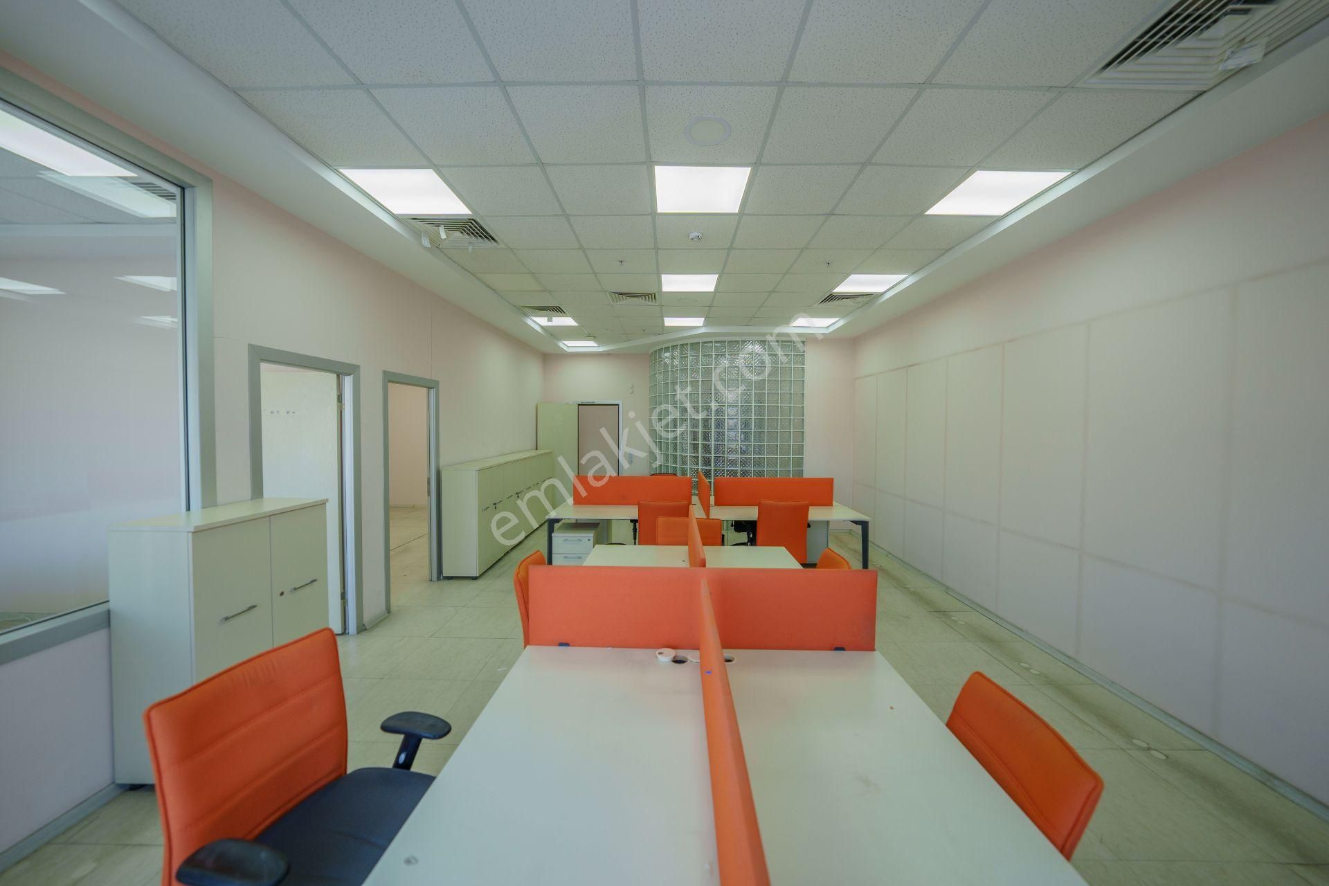Dekorasyonlu 840m2 Prestijli Hazır Tam Plaza Katı Ofisi - Remax - Görsel 16