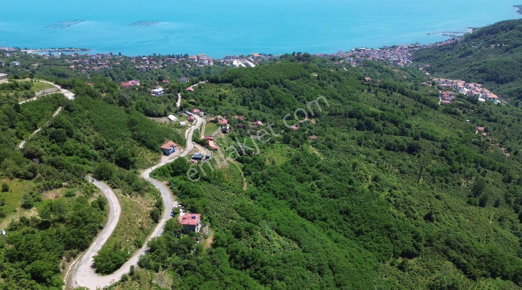Pars Prime/perşembe/9 Adet Villalık/doğa Ve Deniz Manzaralı!