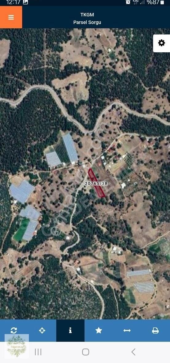 Saklıkent Kayak Merkezi Yolu Üzerinde Kupon Tarla
