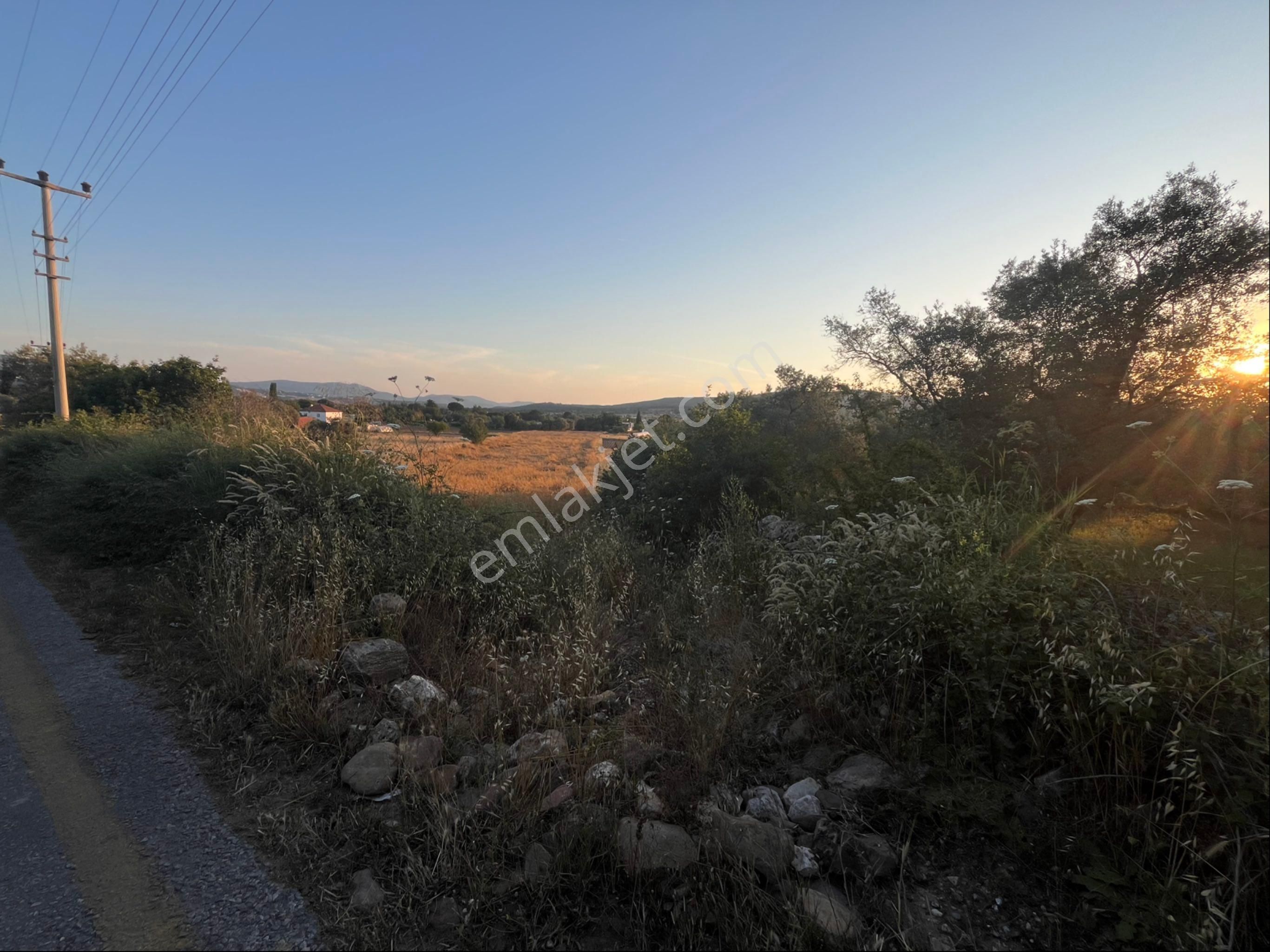 Milas Kuzuyaka’da Asfalt Yola Cepheli Düz Zemin Satılık Tarla - Görsel 5