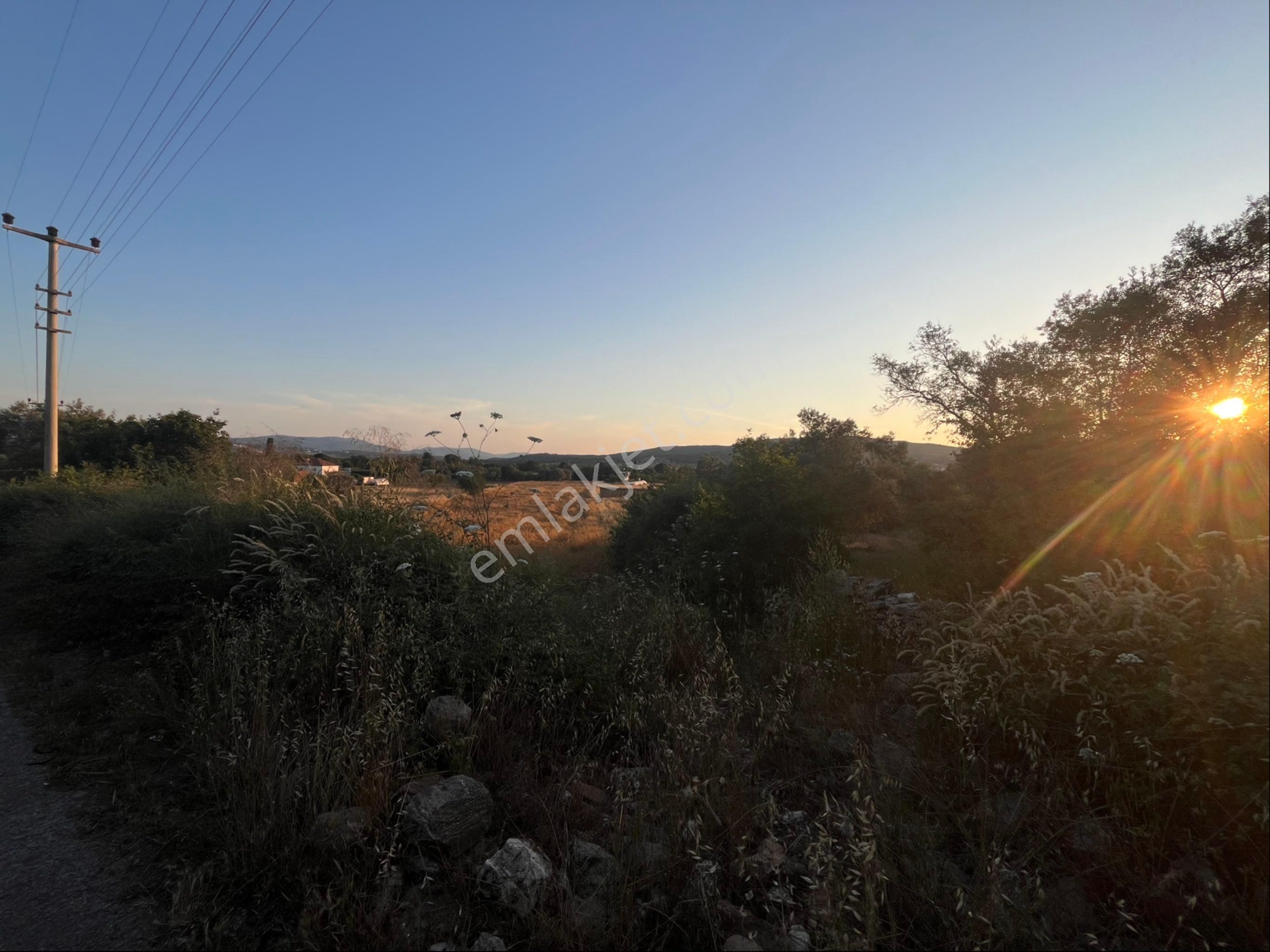 Milas Kuzuyaka’da Asfalt Yola Cepheli Düz Zemin Satılık Tarla - Görsel 6