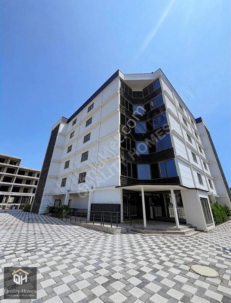 Altıntaş İskanlı 1+1 Hemen Oturabilirsiniz