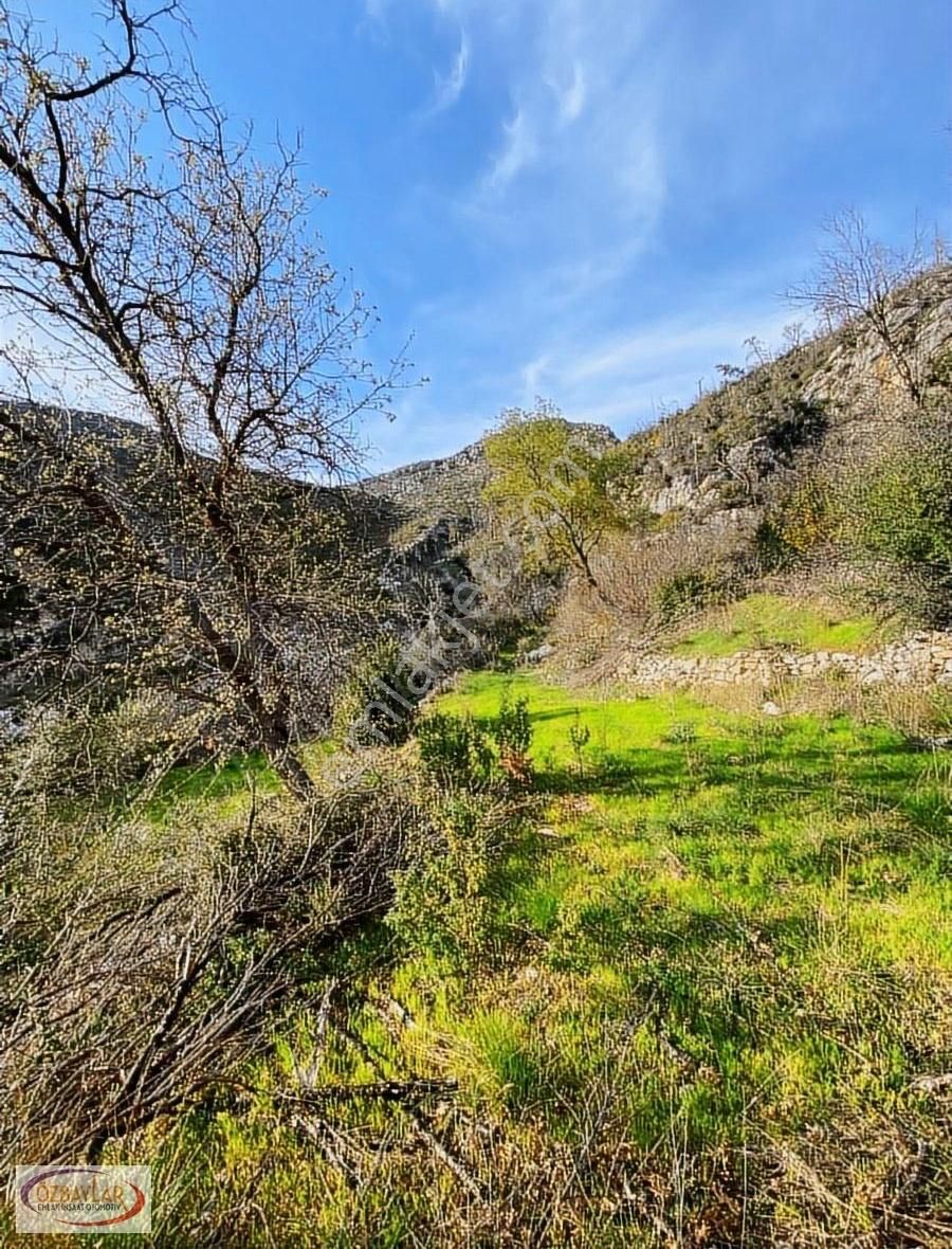 Antalya Manavgat Tilkilerde Satılık Mustakil Tarla Kaçmaz - Görsel 7