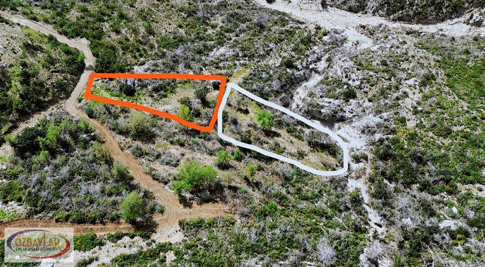 Antalya Manavgat Tilkilerde Satılık Mustakil Tarla Kaçmaz - Görsel 4