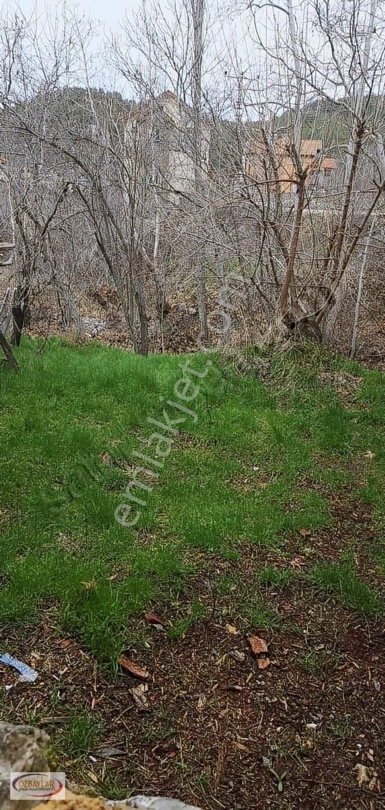 Antalya Akseki Günyakada Satılık Mustakil Ev 394 M Arsa İçinde - Görsel 4