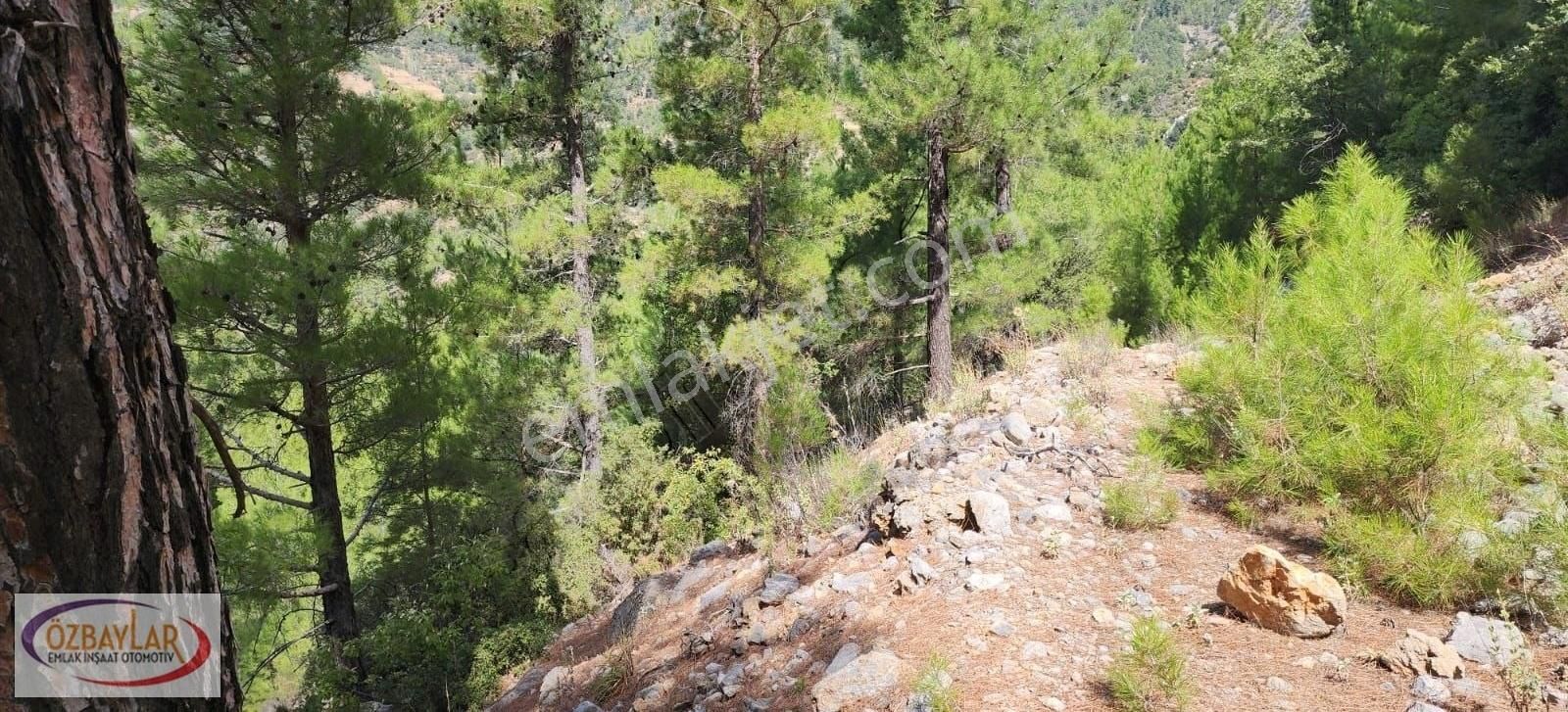 Mersin Anamur Çukur Abanoz Da Satılık Tarla Araç Takası Mevcut