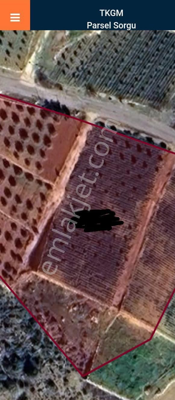 Satılık Erdemli Batısandal Mah. Asvalt Yola Sıfır Tarla