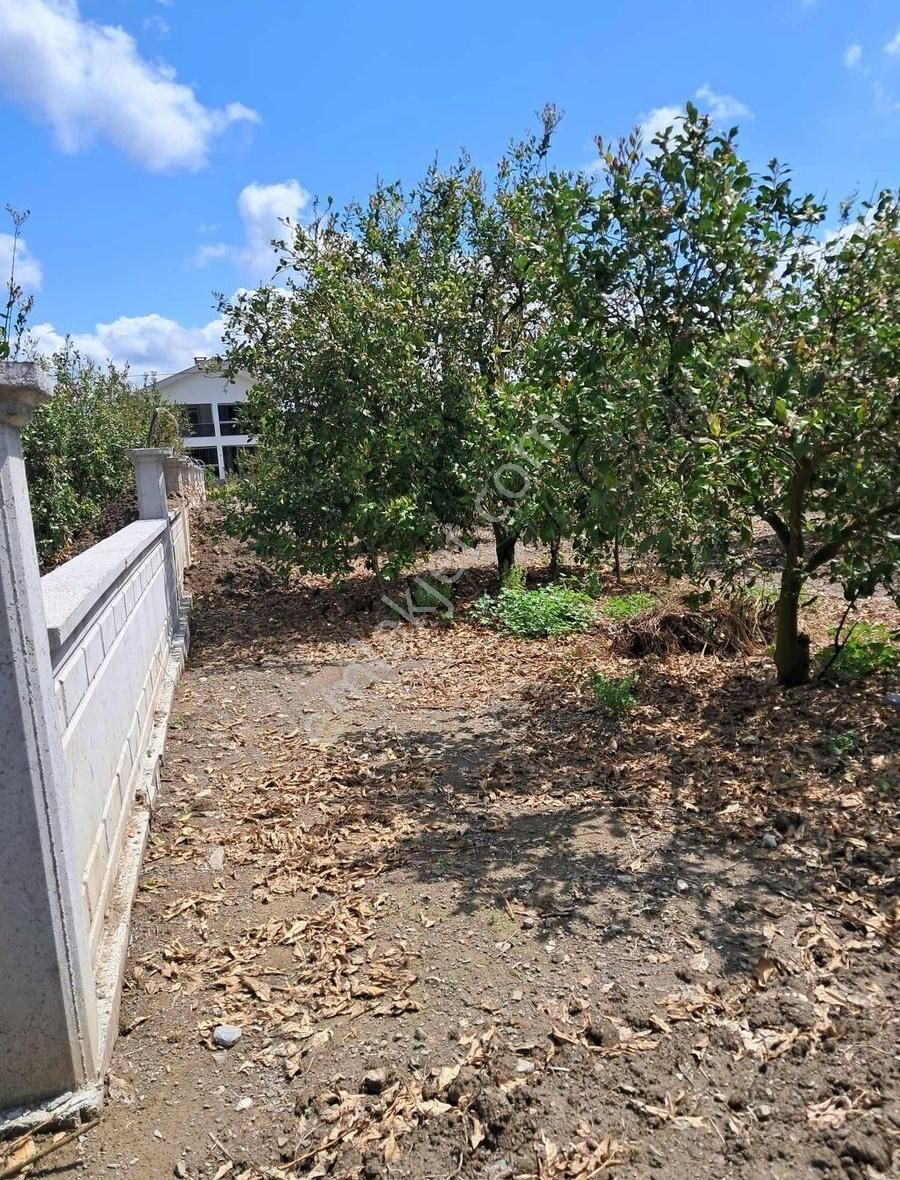 Denize 10 Dakika Mesafede Villa İmarlı Arsa