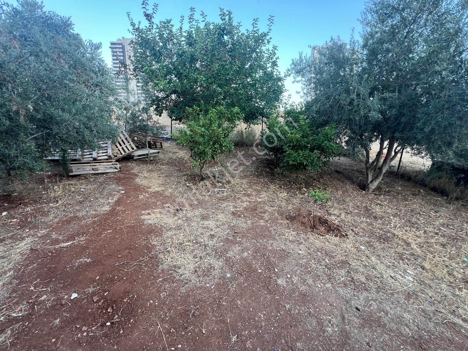 Prestij'den Deniz Mah'de 275 M2 Komple Satılık Müstakil Bina - Görsel 15