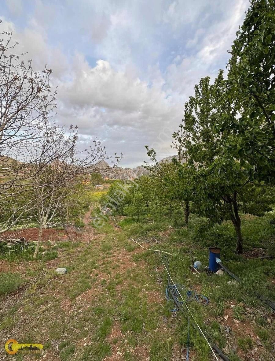 Alanya Gökbel Yaylasında 3,194m2 Kurulu Düzen Satılık Tarla