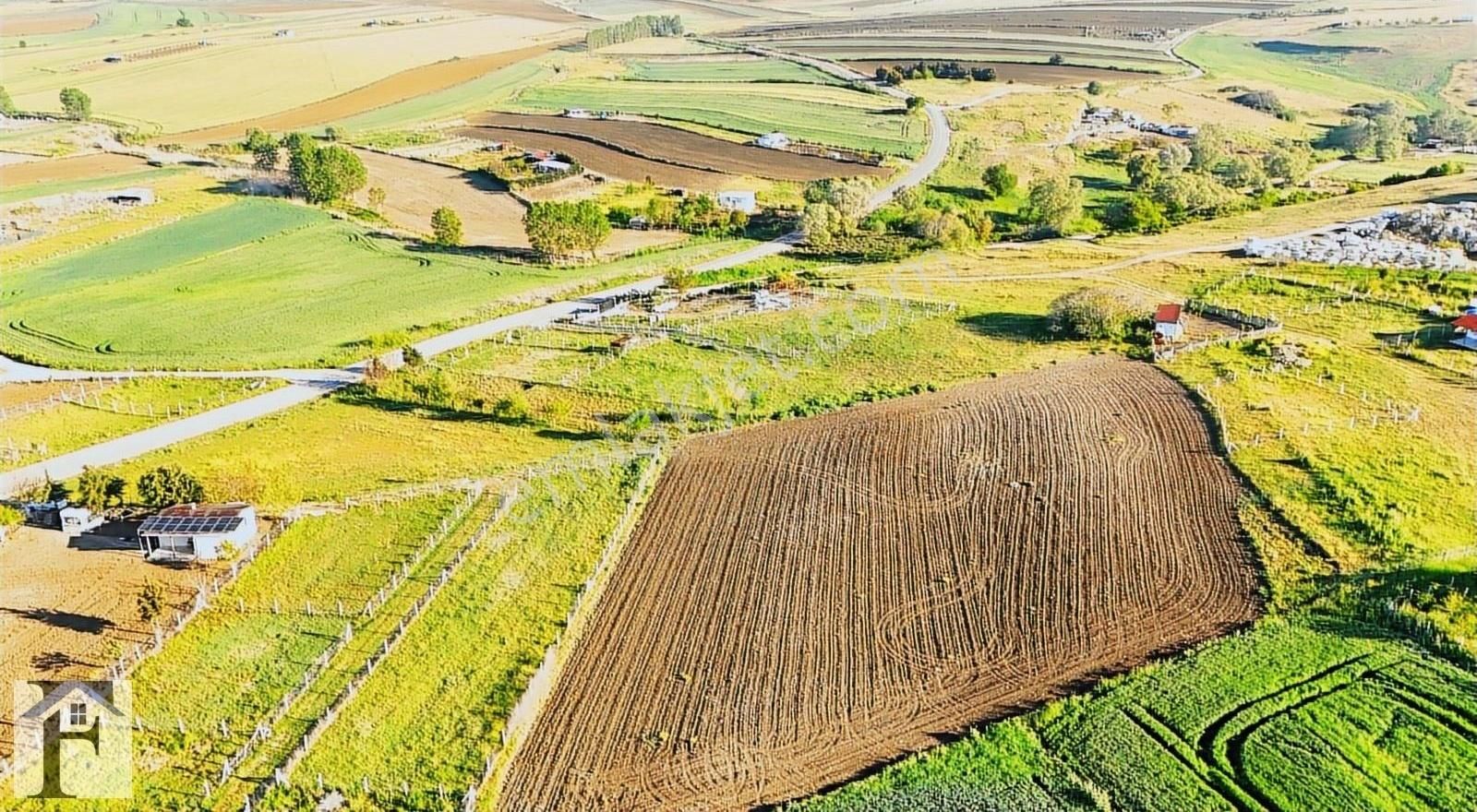 Silivri Kadıköy'de Satılık 730 M² Yapılaşmanın İçerisinde