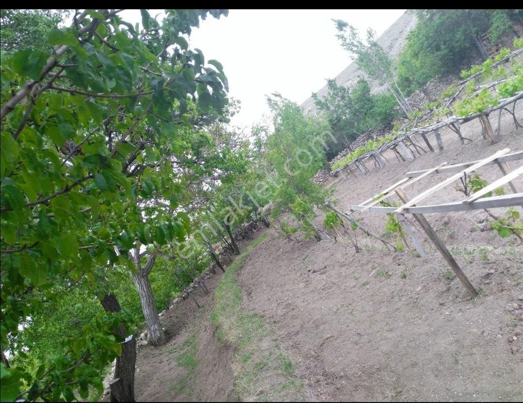 Tatköyde 944 M2 Elektrik Su Aboneliği Bulunan Satılık Bahçe - Görsel 3